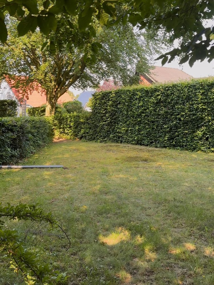 Hecke vor dem Schnitt